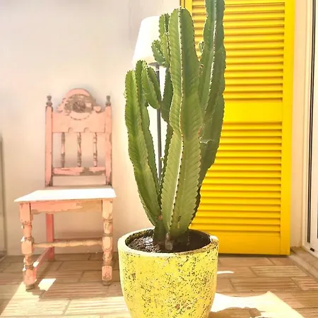 Casa Frida *